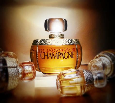 ysl champagne